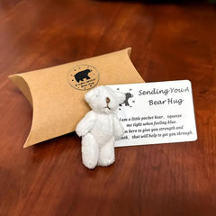 Mini Plush Stuffed Bears - Pocket Hug Token - Long Distance Relationship Gift