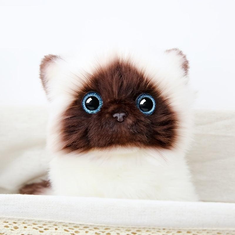 Plush Cat Kitten Doll Birthday Gift for Girls