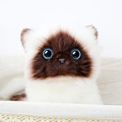 Plush Cat Kitten Doll Birthday Gift for Girls