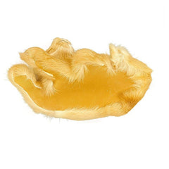 Dog Model Ornaments Real Fur Golden Retriever Home Craft Decorations