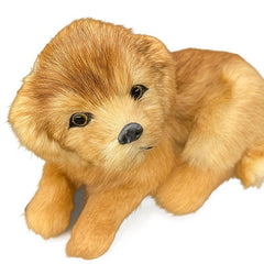 Dog Model Ornaments Real Fur Golden Retriever Home Craft Decorations