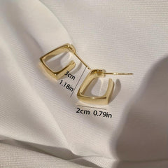 Irregular Geometric Metal Earrings for Women Jewelry Gift