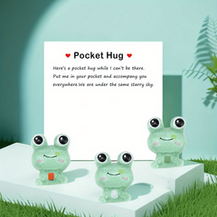 Pocket Hug Resin Animal Decoration with Encouraging Greeting Card