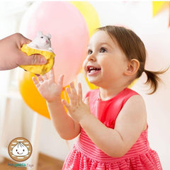 Cheese Toy Squeeze Stress Ball Mice In Cheese Toy Anxiety Relief Sensory