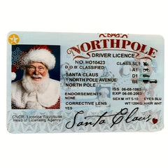 Christmas Game Prop Santa Driver's Costume Set