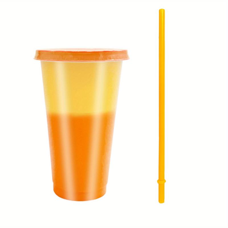 24oz Reusable Plastic Tumblers w/ Lids & Straws Summer Party Cup Cold Drink Cup