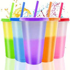 24oz Reusable Plastic Tumblers w/ Lids & Straws Summer Party Cup Cold Drink Cup