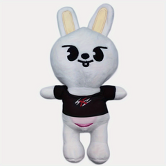 Plush Toys for Homeless Kids