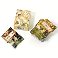 Ecologies Card Game: Build Food Webs in 7 Biomes