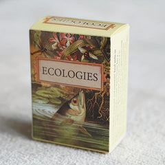 Ecologies Card Game: Build Food Webs in 7 Biomes
