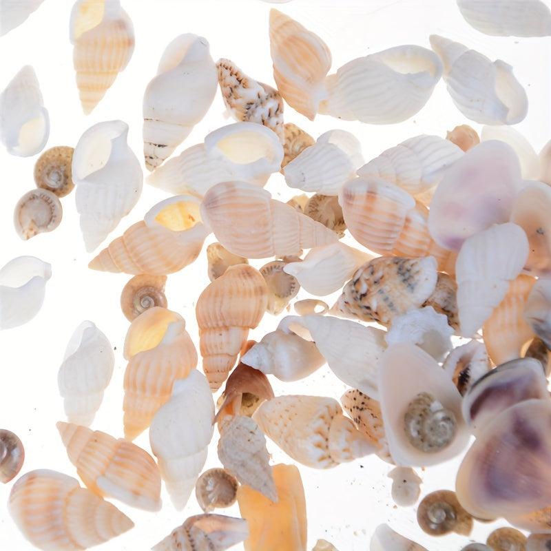 Mini Conch Shells Bag Dollhouse Scene Decor