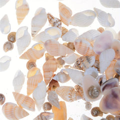 Mini Conch Shells Bag Dollhouse Scene Decor