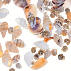 Mini Conch Shells Bag Dollhouse Scene Decor