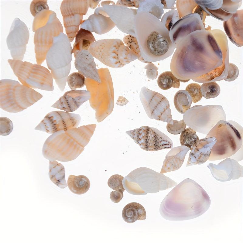 Mini Conch Shells Bag Dollhouse Scene Decor