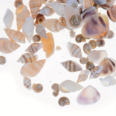 Mini Conch Shells Bag Dollhouse Scene Decor