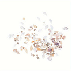 Mini Conch Shells Bag Dollhouse Scene Decor