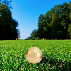 Portable Double Layer Plated Golf Ball Accessory