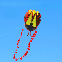 Adult Frameless Ladybug Kite