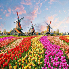 500-Piece Paper Puzzles: Landscapes, Flowers & Countryside