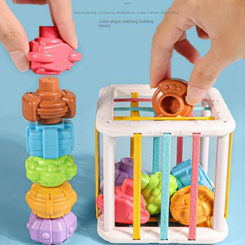 Rainbow Push & Pull Toy Shape Grasp Training Educational Toy