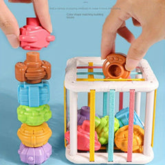Rainbow Push & Pull Toy Shape Grasp Training Educational Toy