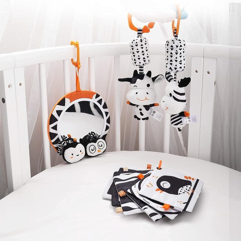 Baby Toys Gift Set for 0-12 Months Newborns & Toddlers