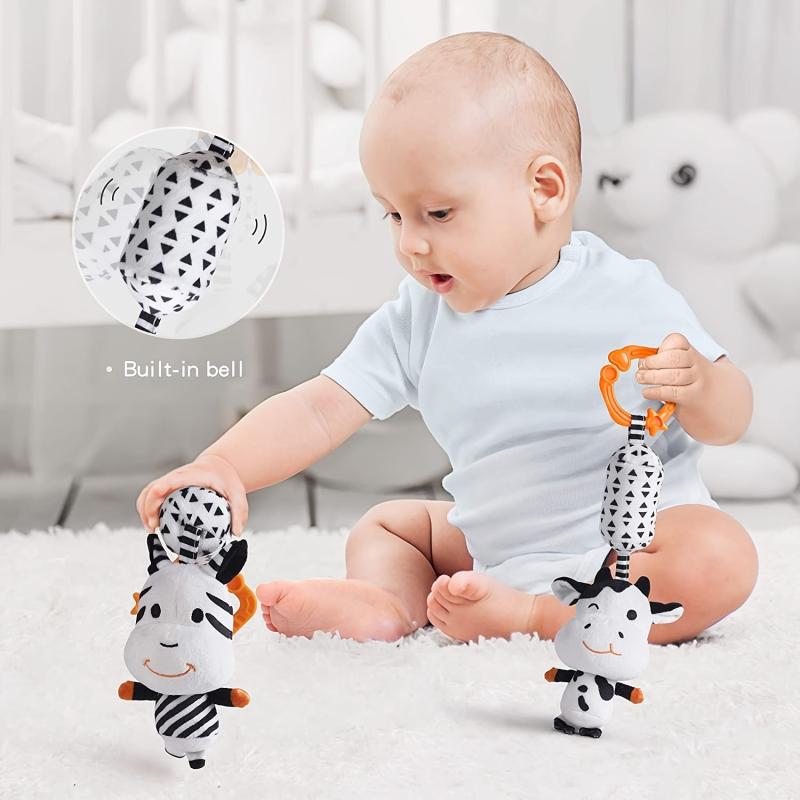 Baby Toys Gift Set for 0-12 Months Newborns & Toddlers