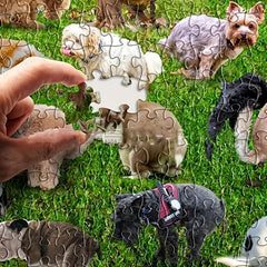 1000 Pieces Jigsaw Puzzle - Adorable Puppies Pooping Challenge