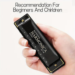 Professional Blues Harmonica 10 Holes C Key Blues Harp Bundle