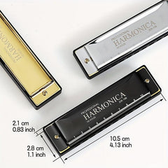 Professional Blues Harmonica 10 Holes C Key Blues Harp Bundle