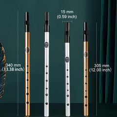 Irish Whistle Flute C D Key Musical Instrument
