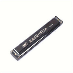 24 Holes Key Of C Tremolo Harmonica Mouth Organ Double Row Blues