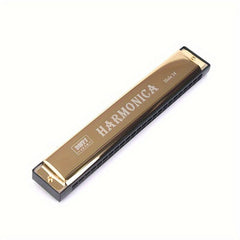 24 Holes Key Of C Tremolo Harmonica Mouth Organ Double Row Blues