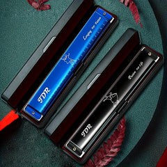C Tone 24 Hole Harmonica for Beginners - Adults & Children