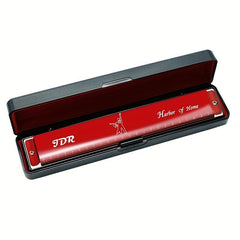 C Tone 24 Hole Harmonica for Beginners - Adults & Children