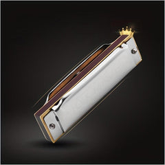 C Tune Blues 10 hole Harmonica Ten hole Blues Beginner Adult Students
