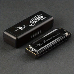 10 Holes 20 Tone C Blues Harmonica Ideal for Kids & Beginners