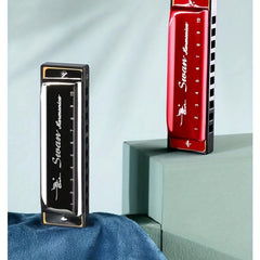 10 Holes 20 Tone C Blues Harmonica Ideal for Kids & Beginners