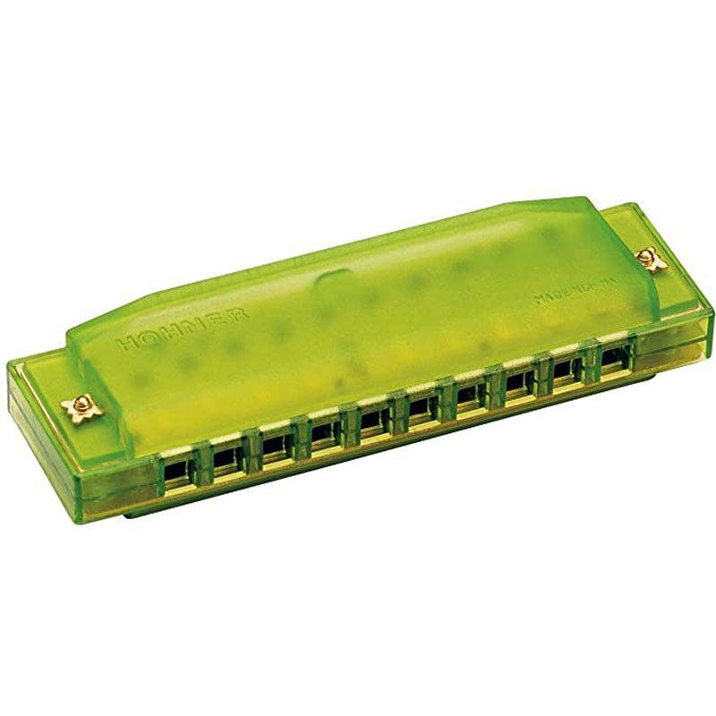 10 Hole Harmonica Mouth Organ Musical Instrument for Beginners