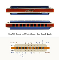 East Top Diatonic Blues Harmonica Key Of C 10 Holes 20 Tones
