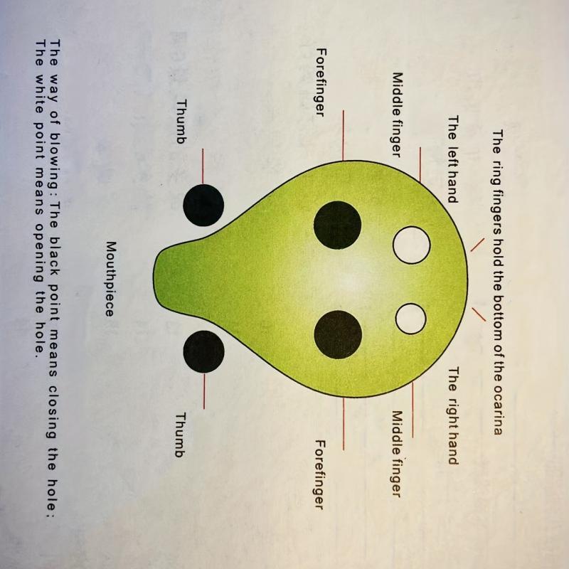 Zodiac Cartoon Series 6-Hole AC Ocarina Long Mouthed Beginner Students