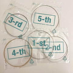 AJ05 5 String Banjo Strings Light Gauge for Smooth Playing