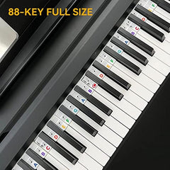 Removable Piano Keyboard Note Labels 88 Key Full Size