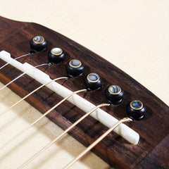 Ebony Guitar Bridge Bolt with Solid String Cone