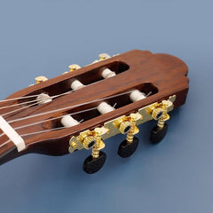 Golden Guitar String Button Fully Enclosed Folk Classical Ukulele
