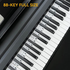 Piano Keyboard Note Labels for Beginners - 88 Key Full Size