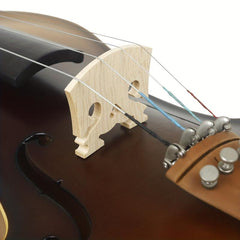 Baroque Violin Maqiao Maple Heart Style 10 Pack