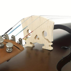 Baroque Violin Maqiao Maple Heart Style 10 Pack