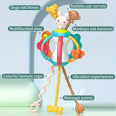 Soft Rubber Ball Toy for Baby Sensory Training