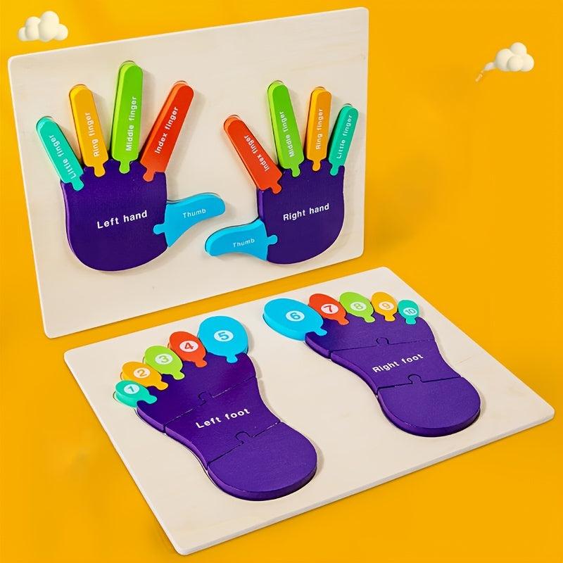 Colorful Wooden Hand & Foot 3D Jigsaw Puzzle for Kids